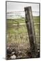 Wooden Fence Post around a Wheat Field, Palouse, Washington, USA-Brent Bergherm-Mounted Photographic Print