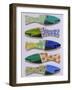 Wooden Fish-Jenny Westenhofer-Framed Art Print