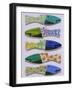 Wooden Fish-Jenny Westenhofer-Framed Art Print