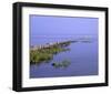 Wooden Groyne near Morsum cliff, Sylt, Schleswig-Holstein, Germany-null-Framed Art Print