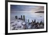 Wooden Groyne on Porlock Beach, Exmoor, Somerset, England. Summer-Adam Burton-Framed Photographic Print