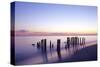 Wooden groyne, Rantum, Sylt, Schleswig-Holstein, Germany-null-Stretched Canvas