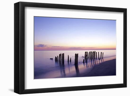 Wooden groyne, Rantum, Sylt, Schleswig-Holstein, Germany-null-Framed Art Print