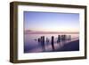 Wooden groyne, Rantum, Sylt, Schleswig-Holstein, Germany-null-Framed Art Print