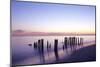 Wooden groyne, Rantum, Sylt, Schleswig-Holstein, Germany-null-Mounted Art Print