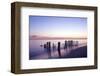 Wooden groyne, Rantum, Sylt, Schleswig-Holstein, Germany-null-Framed Art Print