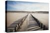 Wooden Groynes on a Sandy Beach, Leading to Sand Dunes, Domburg, Zeeland, the Netherlands, Europe-Mark Doherty-Stretched Canvas