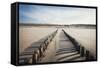 Wooden Groynes on a Sandy Beach, Leading to Sand Dunes, Domburg, Zeeland, the Netherlands, Europe-Mark Doherty-Framed Stretched Canvas