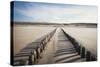 Wooden Groynes on a Sandy Beach, Leading to Sand Dunes, Domburg, Zeeland, the Netherlands, Europe-Mark Doherty-Stretched Canvas