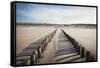 Wooden Groynes on a Sandy Beach, Leading to Sand Dunes, Domburg, Zeeland, the Netherlands, Europe-Mark Doherty-Framed Stretched Canvas