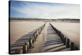Wooden Groynes on a Sandy Beach, Leading to Sand Dunes, Domburg, Zeeland, the Netherlands, Europe-Mark Doherty-Stretched Canvas
