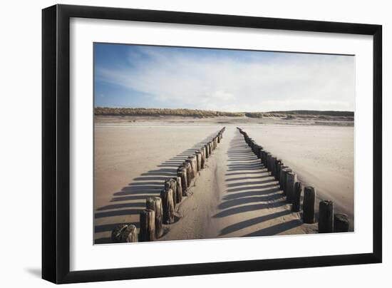 Wooden Groynes on a Sandy Beach, Leading to Sand Dunes, Domburg, Zeeland, the Netherlands, Europe-Mark Doherty-Framed Photographic Print