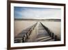 Wooden Groynes on a Sandy Beach, Leading to Sand Dunes, Domburg, Zeeland, the Netherlands, Europe-Mark Doherty-Framed Photographic Print