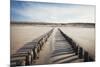 Wooden Groynes on a Sandy Beach, Leading to Sand Dunes, Domburg, Zeeland, the Netherlands, Europe-Mark Doherty-Mounted Photographic Print