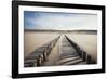 Wooden Groynes on a Sandy Beach, Leading to Sand Dunes, Domburg, Zeeland, the Netherlands, Europe-Mark Doherty-Framed Photographic Print