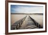 Wooden Groynes on a Sandy Beach, Leading to Sand Dunes, Domburg, Zeeland, the Netherlands, Europe-Mark Doherty-Framed Photographic Print