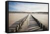 Wooden Groynes on a Sandy Beach, Leading to Sand Dunes, Domburg, Zeeland, the Netherlands, Europe-Mark Doherty-Framed Stretched Canvas