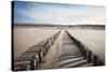 Wooden Groynes on a Sandy Beach, Leading to Sand Dunes, Domburg, Zeeland, the Netherlands, Europe-Mark Doherty-Stretched Canvas