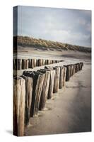 Wooden Groynes on a Sandy Beach, Leading to Sand Dunes, Domburg, Zeeland, the Netherlands, Europe-Mark Doherty-Stretched Canvas