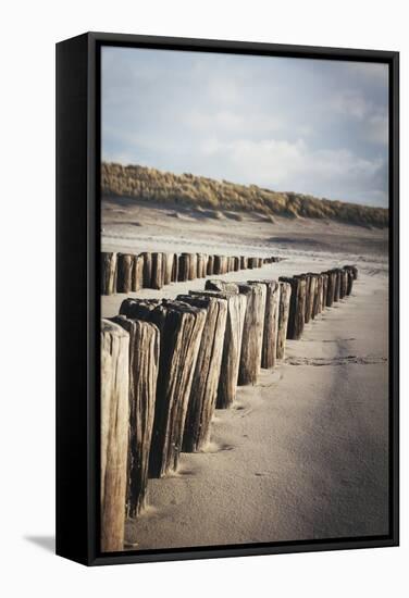 Wooden Groynes on a Sandy Beach, Leading to Sand Dunes, Domburg, Zeeland, the Netherlands, Europe-Mark Doherty-Framed Stretched Canvas