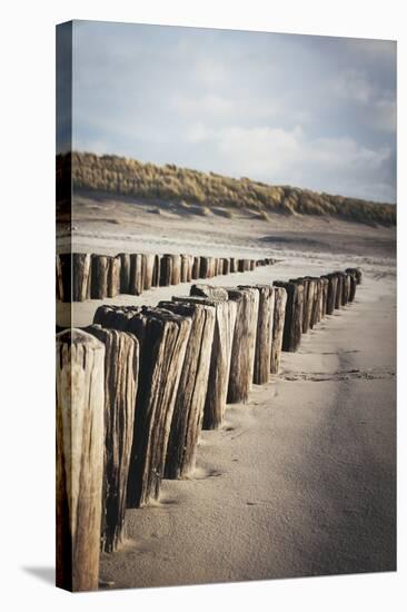 Wooden Groynes on a Sandy Beach, Leading to Sand Dunes, Domburg, Zeeland, the Netherlands, Europe-Mark Doherty-Stretched Canvas