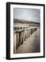 Wooden Groynes on a Sandy Beach, Leading to Sand Dunes, Domburg, Zeeland, the Netherlands, Europe-Mark Doherty-Framed Photographic Print