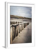 Wooden Groynes on a Sandy Beach, Leading to Sand Dunes, Domburg, Zeeland, the Netherlands, Europe-Mark Doherty-Framed Photographic Print