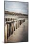 Wooden Groynes on a Sandy Beach, Leading to Sand Dunes, Domburg, Zeeland, the Netherlands, Europe-Mark Doherty-Mounted Photographic Print