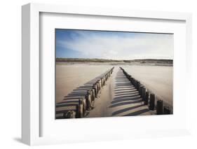 Wooden Groynes on a Sandy Beach, Leading to Sand Dunes, Domburg, Zeeland, the Netherlands, Europe-Mark Doherty-Framed Photographic Print