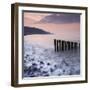 Wooden Groynes on Bossington Beach at Sunset, Exmoor National Park, Somerset, England. Spring-Adam Burton-Framed Photographic Print