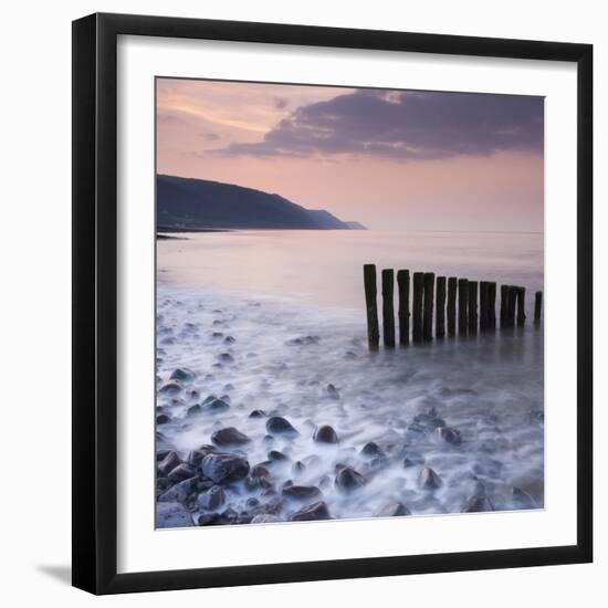 Wooden Groynes on Bossington Beach at Sunset, Exmoor National Park, Somerset, England. Spring-Adam Burton-Framed Photographic Print