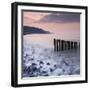 Wooden Groynes on Bossington Beach at Sunset, Exmoor National Park, Somerset, England. Spring-Adam Burton-Framed Photographic Print