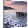 Wooden Groynes on Bossington Beach at Sunset, Exmoor National Park, Somerset, England. Spring-Adam Burton-Mounted Photographic Print