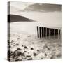 Wooden Groynes on Bossington Beach at Sunset, Exmoor National Park, Somerset, England. Spring-Adam Burton-Stretched Canvas