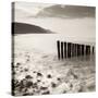 Wooden Groynes on Bossington Beach at Sunset, Exmoor National Park, Somerset, England. Spring-Adam Burton-Stretched Canvas