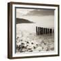 Wooden Groynes on Bossington Beach at Sunset, Exmoor National Park, Somerset, England. Spring-Adam Burton-Framed Photographic Print