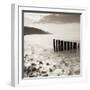 Wooden Groynes on Bossington Beach at Sunset, Exmoor National Park, Somerset, England. Spring-Adam Burton-Framed Photographic Print