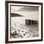 Wooden Groynes on Bossington Beach at Sunset, Exmoor National Park, Somerset, England. Spring-Adam Burton-Framed Photographic Print