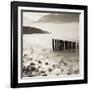 Wooden Groynes on Bossington Beach at Sunset, Exmoor National Park, Somerset, England. Spring-Adam Burton-Framed Photographic Print