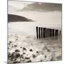 Wooden Groynes on Bossington Beach at Sunset, Exmoor National Park, Somerset, England. Spring-Adam Burton-Mounted Photographic Print