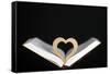 Wooden heart sculpture with a Bible, France, Europe-Godong-Framed Stretched Canvas