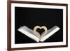 Wooden heart sculpture with a Bible, France, Europe-Godong-Framed Photographic Print