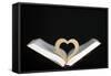 Wooden heart sculpture with a Bible, France, Europe-Godong-Framed Stretched Canvas