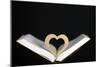 Wooden heart sculpture with a Bible, France, Europe-Godong-Mounted Photographic Print