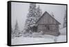 Wooden House in Winter Forest-mr. Smith-Framed Stretched Canvas