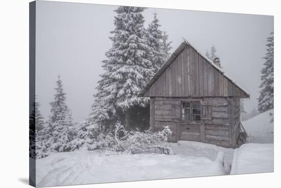 Wooden House in Winter Forest-mr. Smith-Stretched Canvas