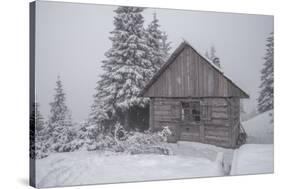 Wooden House in Winter Forest-mr. Smith-Stretched Canvas