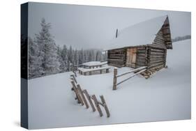 Wooden House in Winter Forest-mr. Smith-Stretched Canvas