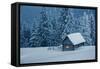 Wooden House in Winter Forest-mr. Smith-Framed Stretched Canvas