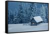 Wooden House in Winter Forest-mr. Smith-Framed Stretched Canvas